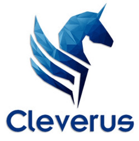 Cleverus Consulting logo
